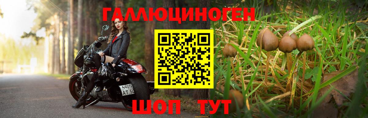 Псилоцибиновые грибы GOLDEN TEACHER Псков